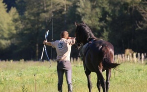 Stages d'équitation insolite Le tir à l'arc à cheval