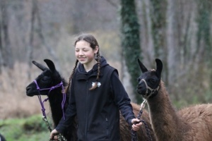 Camps jeunes Camps soigneurs et trappeurs (équitation) été 2025