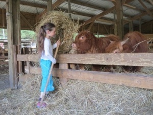 Camps jeunes Camps soigneurs et trappeurs (équitation) été 2025