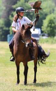 Camps jeunes Camps soigneurs et trappeurs (équitation) été 2025