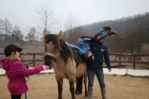 Camps jeunes Camps soigneurs et trappeurs (équitation) été 2025