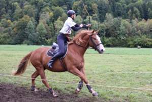 Camps jeunes Camps soigneurs et trappeurs (équitation) été 2025