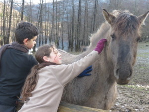 Camps jeunes Camps soigneurs et trappeurs (équitation) Pâques 2025