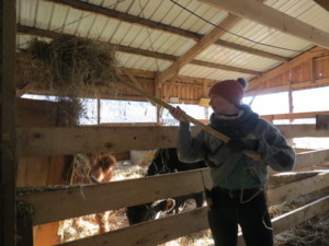 Camps jeunes Camps soigneurs et trappeurs (équitation) Pâques 2025