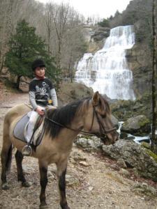 Camps jeunes Camps soigneurs et trappeurs (équitation) - Toussaint 2025