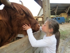 Camps jeunes Camps soigneurs et trappeurs (équitation) - Toussaint 2025