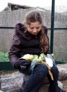 Rencontres animalières Ecole du parc