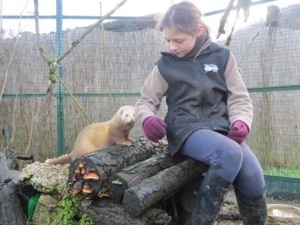 Rencontres animalières Ecole du parc