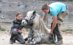 Bons cadeaux Stages d'équitation: tir à l'arc à cheval