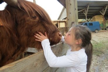 Rencontres animalières Ecole du parc